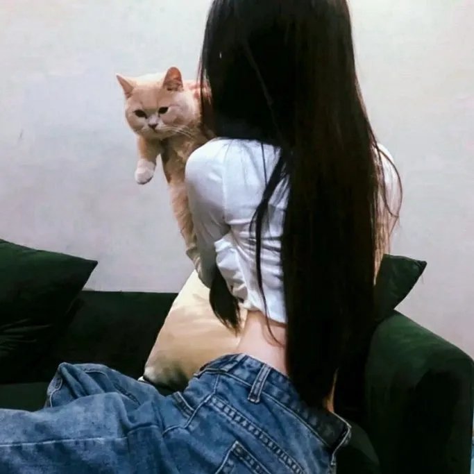 美丽生灵